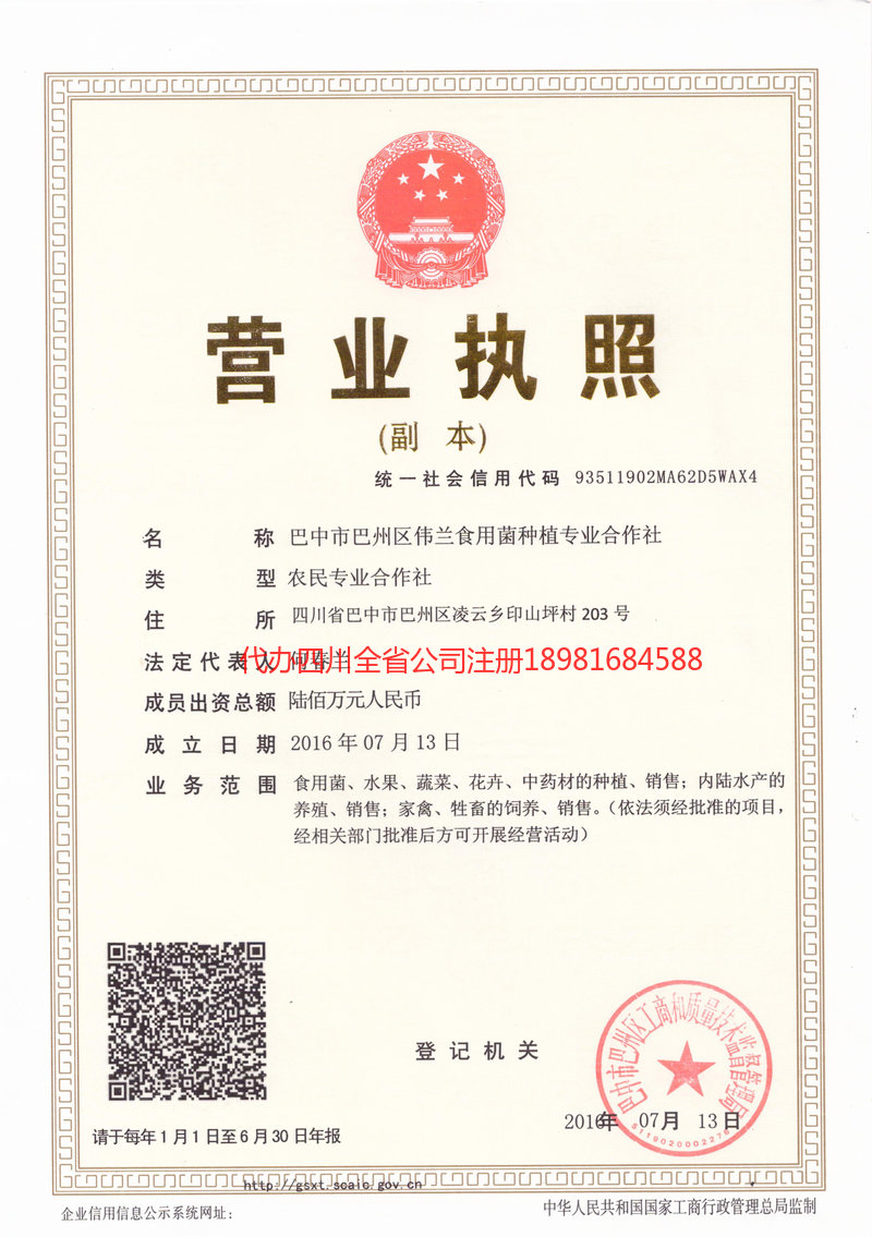 万宁万宁伟兰食用菌种植专业合作社